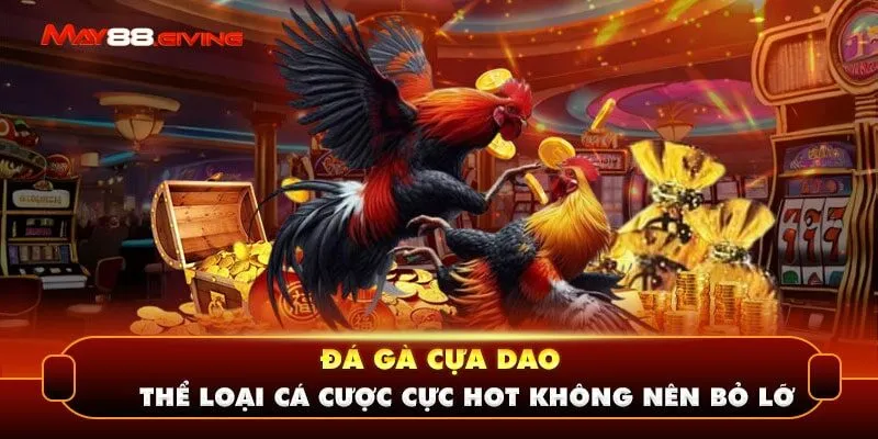 Đá Gà Cựa Dao - Thể Loại Cá Cược Cực Hot Không Nên Bỏ Lỡ