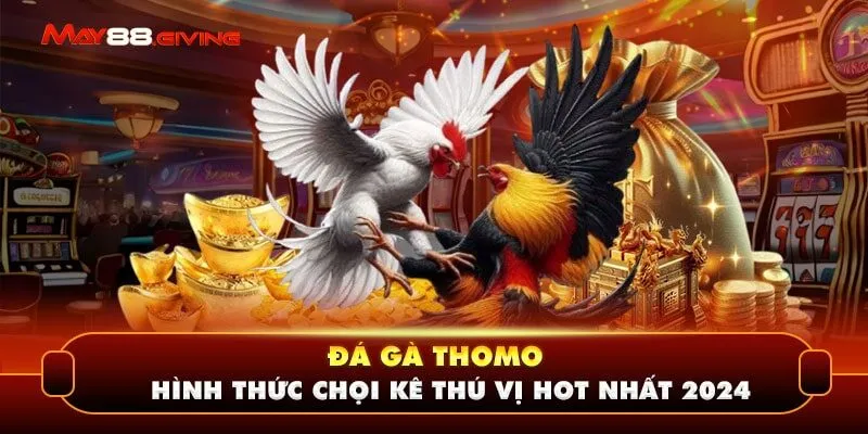 Đá Gà Thomo - Hình Thức Chọi Kê Thú Vị Hot Nhất 2024